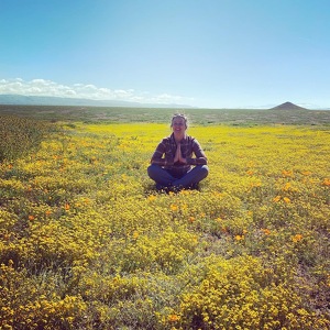 Fundraising Page: Lindsay Ringer